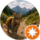 Quing_刘妈妈 profile picture