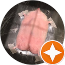 Turtroll profile picture